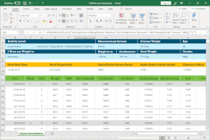 Captura de pantalla de un archivo .xls en Microsoft Excel 2019