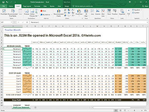 Captura de pantalla de un archivo .xlsm en Microsoft Excel 2016