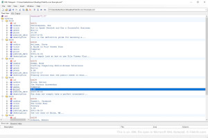 Captura de pantalla de un archivo .xml en el Bloc de notas XML de Microsoft